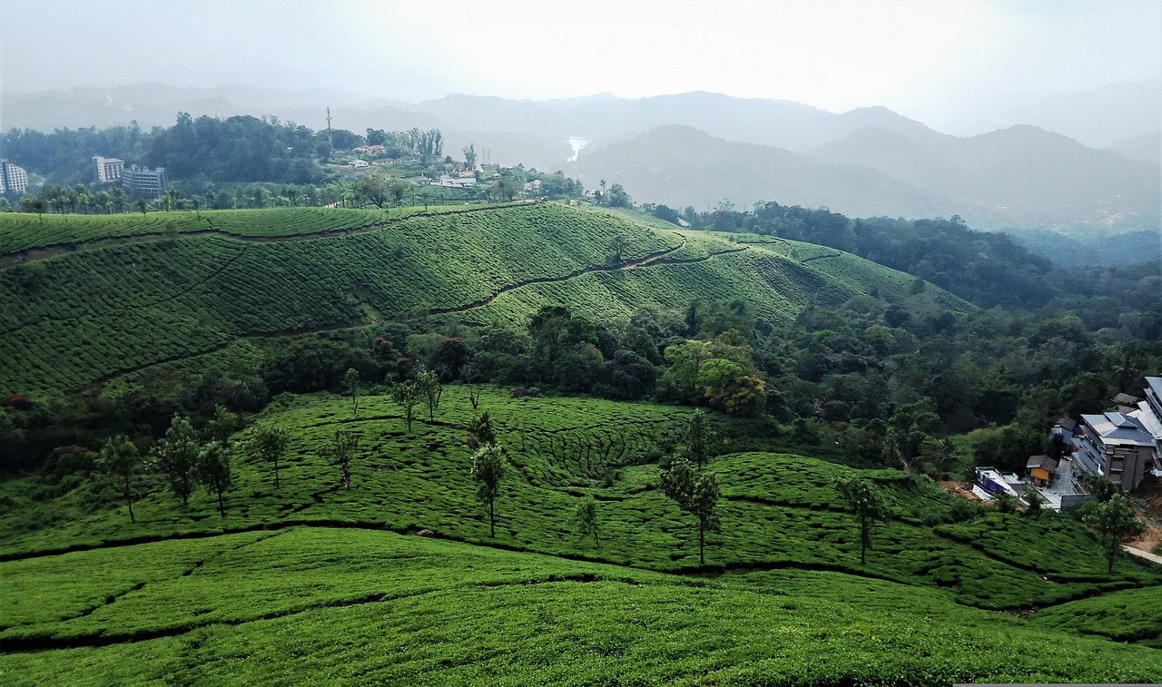 翁源的旅游景点（翁源十大景点）