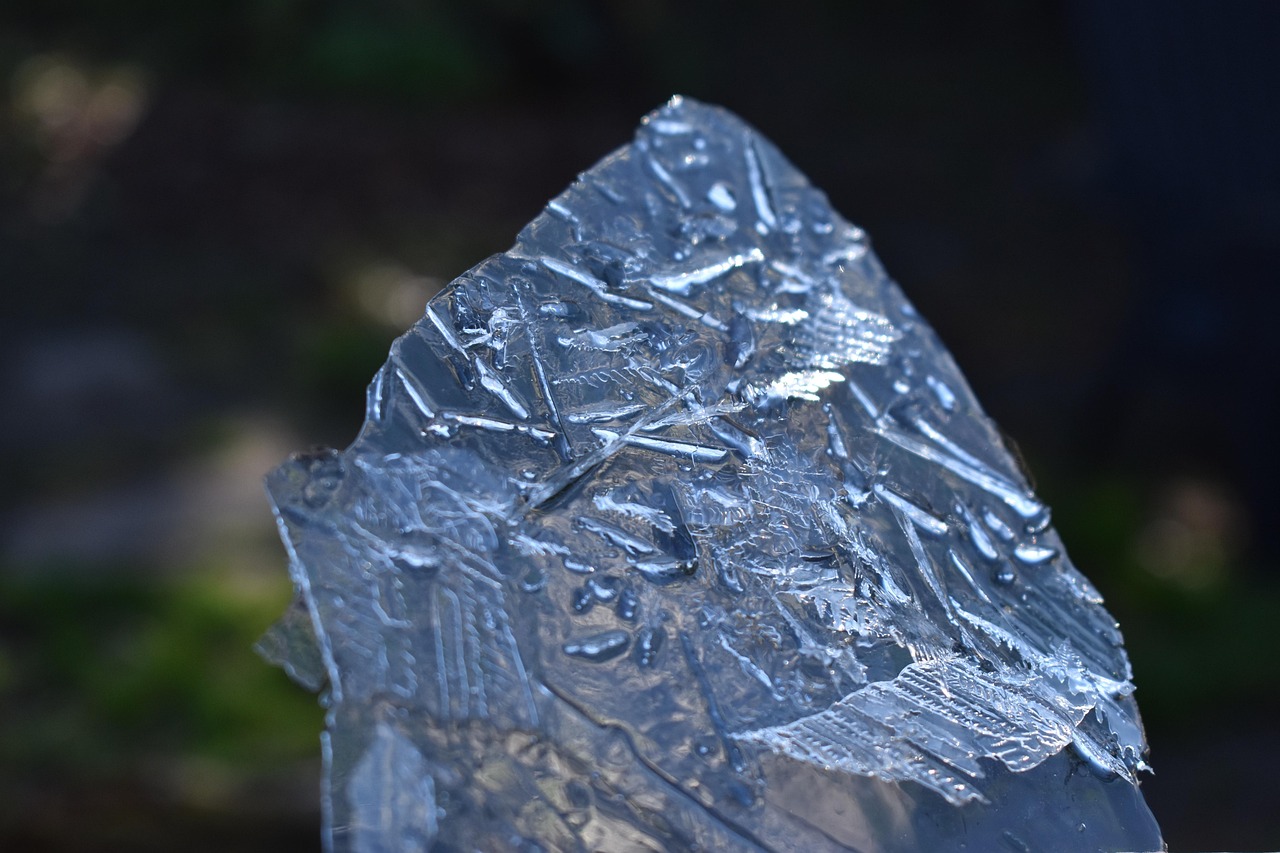 广东发现新冠病毒什么的突变株