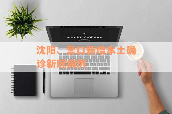 沈阳、营口新增本土确诊新冠病例
