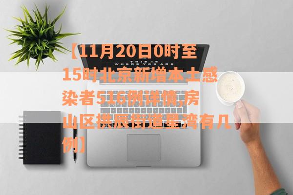 【11月20日0时至15时北京新增本土感染者516例详情,房山区拱辰街道星湾有几例】