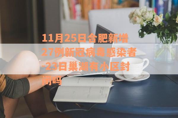 11月25日合肥新增27例新冠病毒感染者-23日巢湖有小区封闭吗