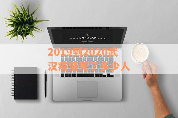 2019到2020武汉疫情死了多少人