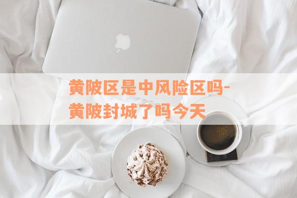 黄陂区是中风险区吗-黄陂封城了吗今天