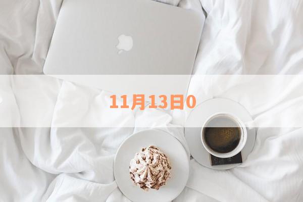 11月13日0