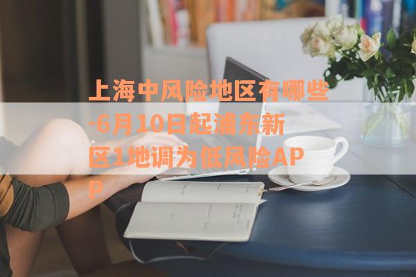 上海中风险地区有哪些-6月10日起浦东新区1地调为低风险APP