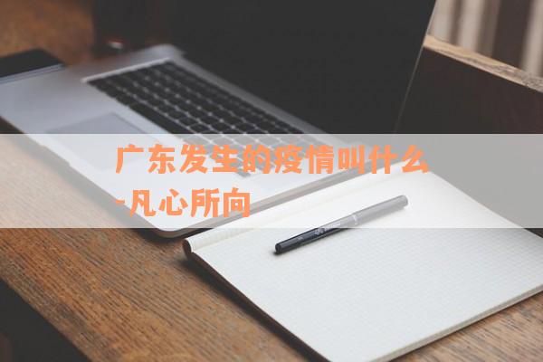 广东发生的疫情叫什么-凡心所向