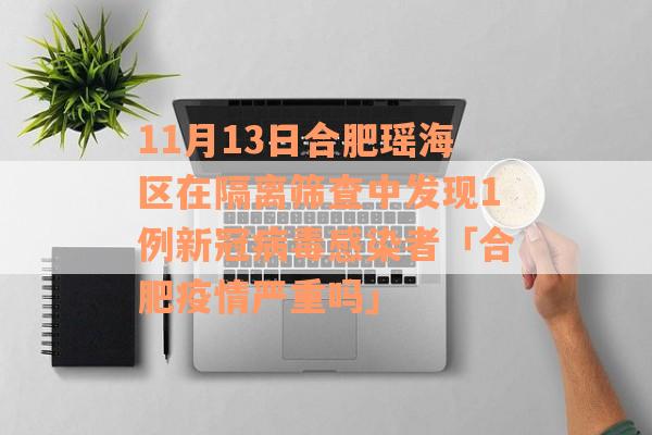 11月13日合肥瑶海区在隔离筛查中发现1例新冠病毒感染者「合肥疫情严重吗」