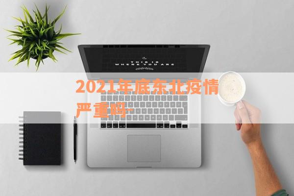 2021年底东北疫情严重吗-