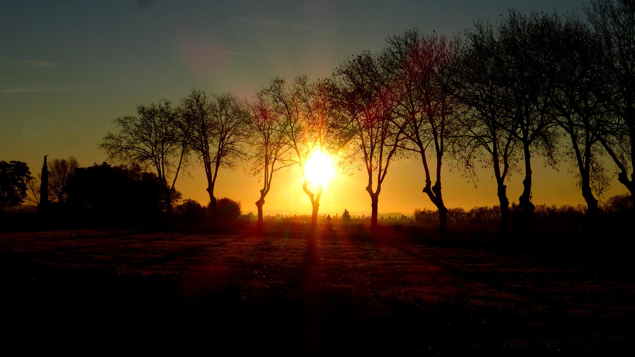01060(港股异动 春节档开启电影新片预售 大麦娱乐) 01060(港股异动 春节档开启电影新片预售 大麦娱乐)