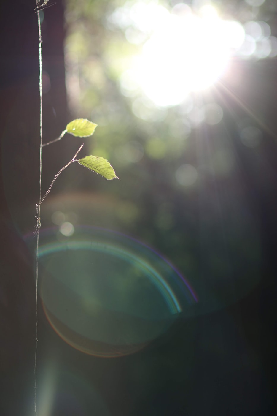 全球新冠日新增确诊创纪录·全球新冠确诊病例突破1亿