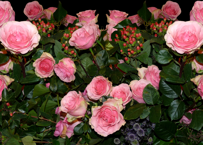 河北新增20例,河北新增20例行动轨迹 🌧️