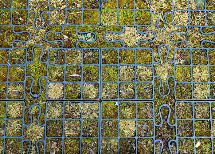 31省区市新增本土确诊61例 其中江苏45例(31省份新增本土确诊6例在江苏湖北)