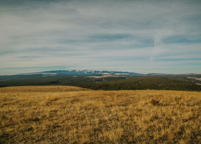 “:网络网站系统自动抽查审核提不了款怎么办？应对黑平台找我们