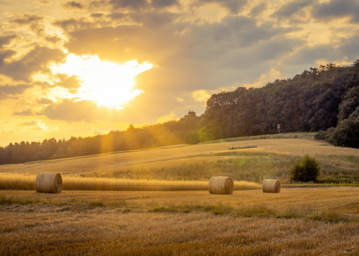 上海连续几天没有新增了(上海连续三天新增超2万)