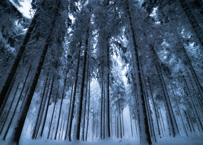 31省区市新增7例境外输入病例,31省区市新增12例均为境外输入 31省区市新增7例境外输入病例,31省区市新增12例均为境外输入