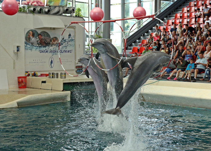 魔神刷图加点顺序（魔神刷图加点—）