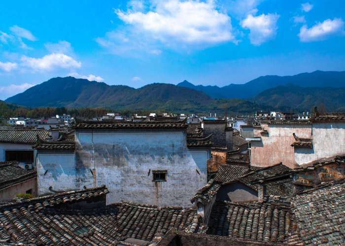 朝鲜疫情源头朝鲜疫情真实现状