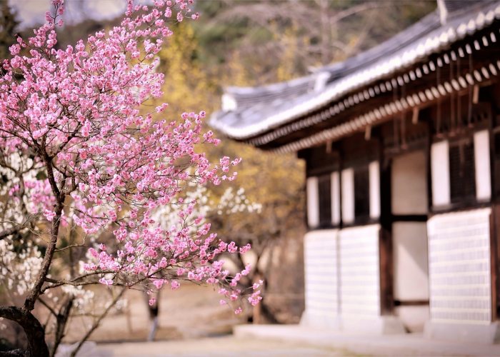 郑州限号2020最新通知4月份 → 郑州限号政策2020最新解读