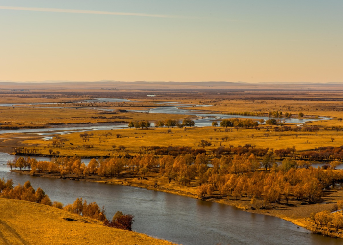 辽宁新增本土3例(辽宁新增7例本土)