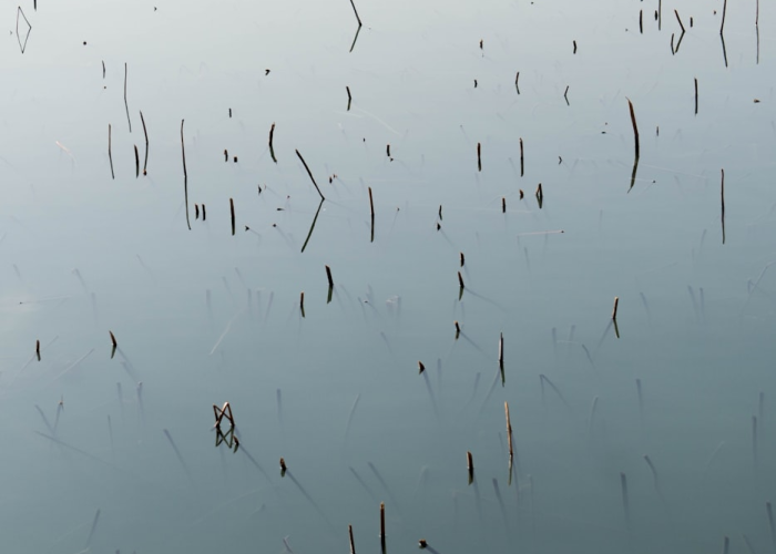 辽宁沈阳新增1例本土确诊病例辽宁沈阳新增1例本土确诊病例轨迹