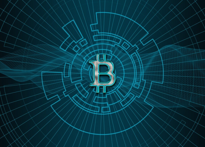 河北辛集疫情最新数据消息新闻(河北辛集疫情最新数据消息)