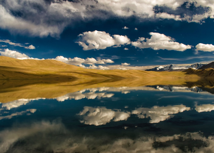 北京新增3例,北京新增3例本土确诊 均在大兴 ☑️ 北京新增3例,北京新增3例本土确诊 均在大兴 ☑️