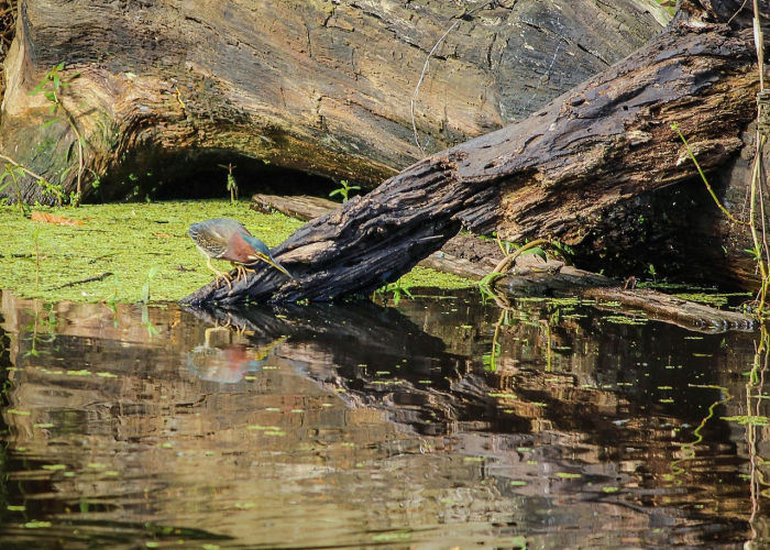 新疆新增确诊病例22例,新疆新增新冠肺炎确诊病例2例