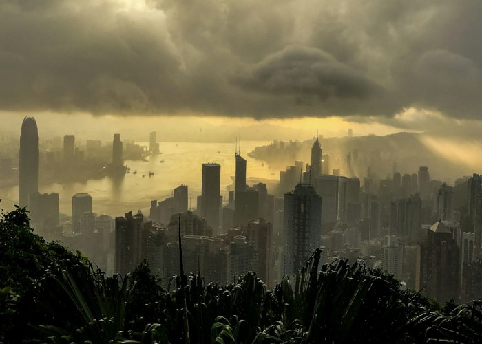 ⛈️ 内蒙古新增本土12例内蒙古新增本土病例行动轨迹