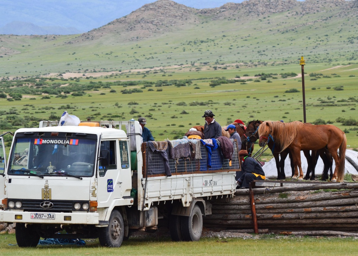 吉林新增确诊本地33例·吉林新增确诊病例行动轨迹