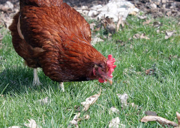 🌦️ 新增33例确诊百色延期开学广西百色什么时候开学最新消息 🌦️ 新增33例确诊百色延期开学广西百色什么时候开学最新消息