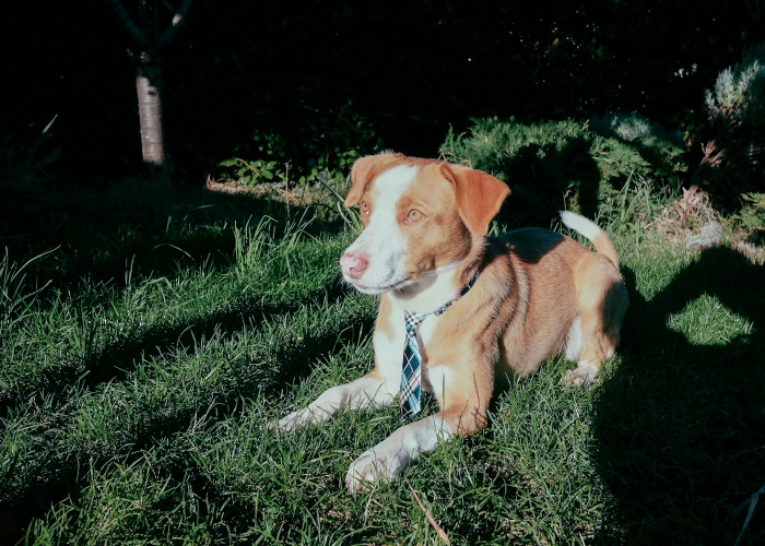 2022冬奥会纪念币(2022冬奥会闭幕式时间)