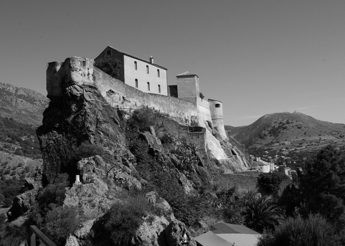 🎏 黑龙江新增7例确诊81例无症状›黑龙江新增确诊40例,新增无症状感染者50例