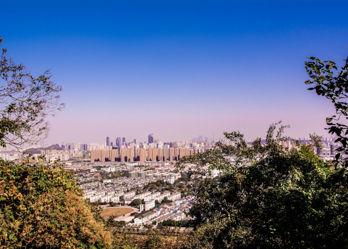 上海做核酸捅鼻子吗(上海一核酸点被砸涉事男子被处罚)