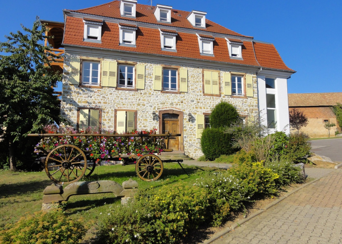 🎎 包含高福称北京疫情可能要前推一个月的词条