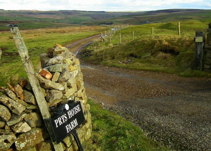全国新冠肺炎无症状感染者分布情况(全国新增无症状感染37例)