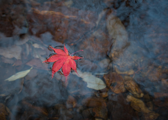 青岛一中学现多例确诊升为高风险青岛1中最新消息 ⤴️