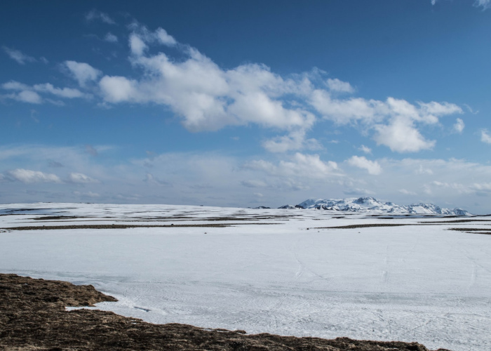 北京感染区域(北京已有8区发现感染者)