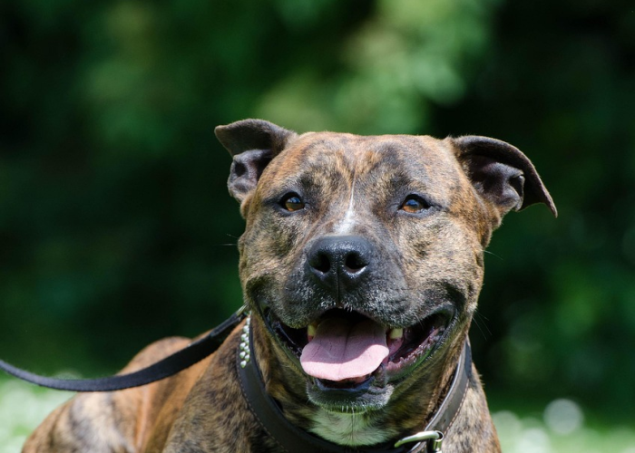 南京又出现一例新冠病毒南京已经确诊一例新型冠状病毒