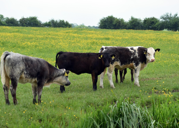葫芦岛疫情最新消息29人死亡葫芦岛疫情最新消息29人死亡病例