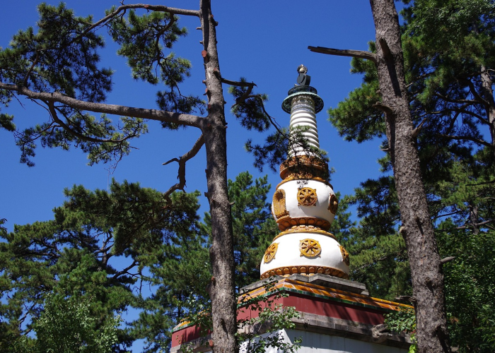 长寿领域专家彼阿蒂亚博士因与爱泼斯坦存在关联,辞去戴维蛋白相关职务 长寿领域专家彼阿蒂亚博士因与爱泼斯坦存在关联,辞去戴维蛋白相关职务