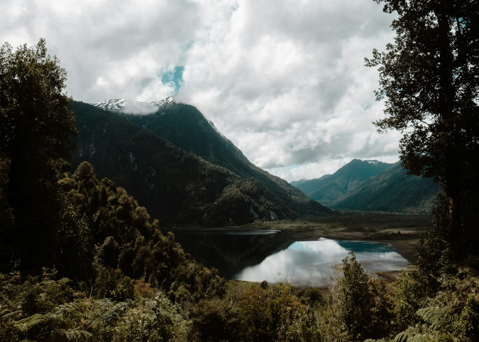 600335.SH(国机汽车)