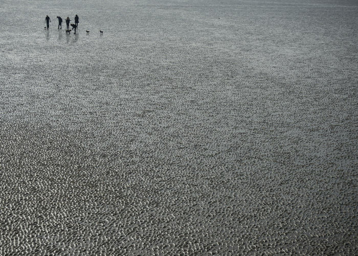 多地核酸采样项目宣告终止了吗(多地核酸采样项目宣告终止)
