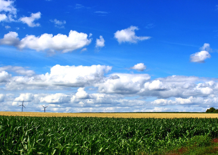 上海新增本土确诊215例,上海新增2本地确诊行动轨迹