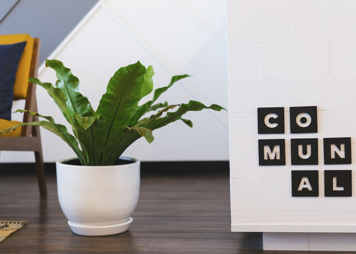 芜湖解封芜湖何时解禁 🕔 芜湖解封芜湖何时解禁 🕔