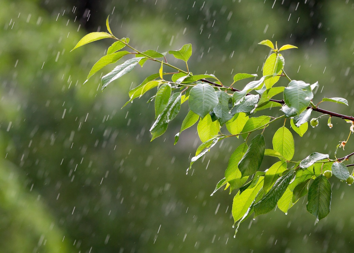 31省区市新增13例境外输入(31省区市新增7例均为境外输入)