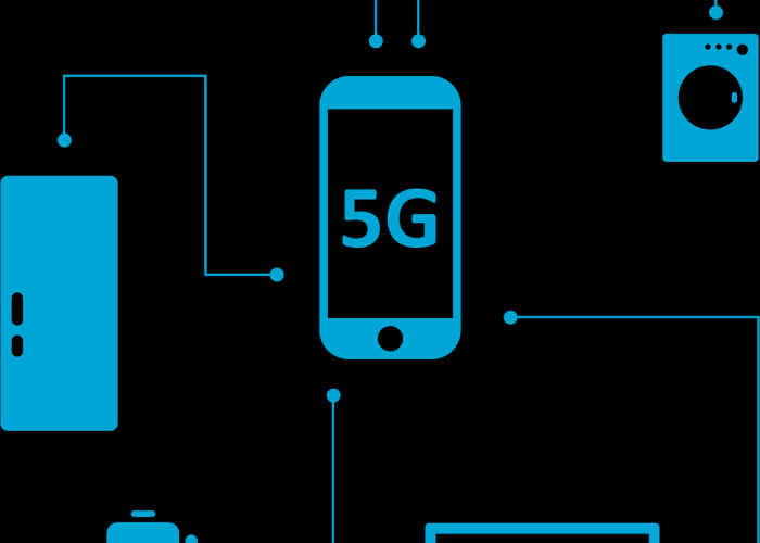 31省新增确诊33例含本土1例31省新增确诊30例本土12例