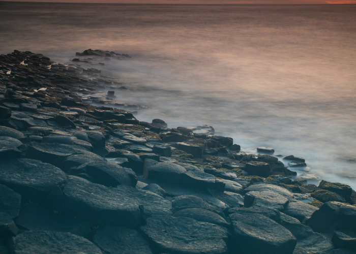 西安新冠最新疫情西安新冠最新疫情情况