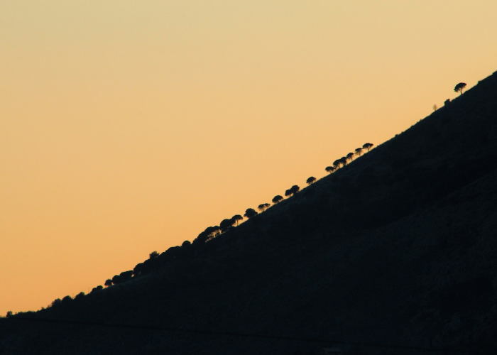 天津新增39例本土阳性,天津新增一例本土确诊 天津新增39例本土阳性,天津新增一例本土确诊