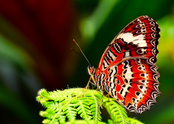 现代汽车费用多少(现代汽车费用)