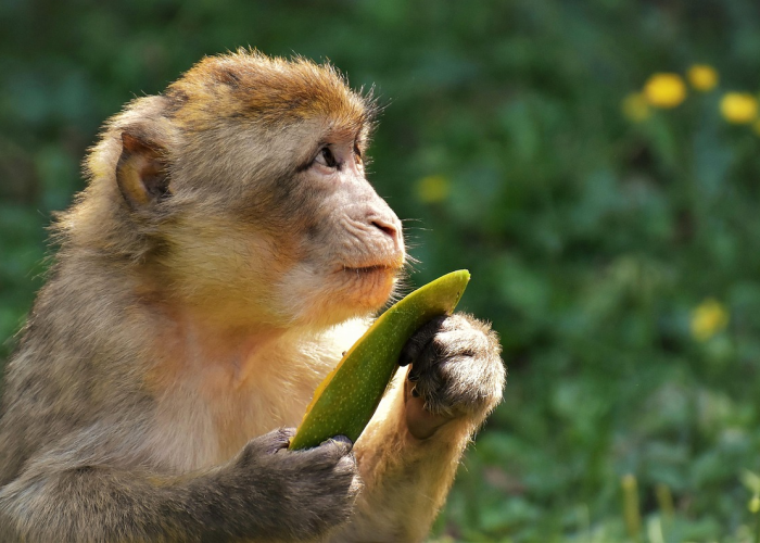 上海疫情最新情况最新消息今天,上海疫情最新动态数据 ☔